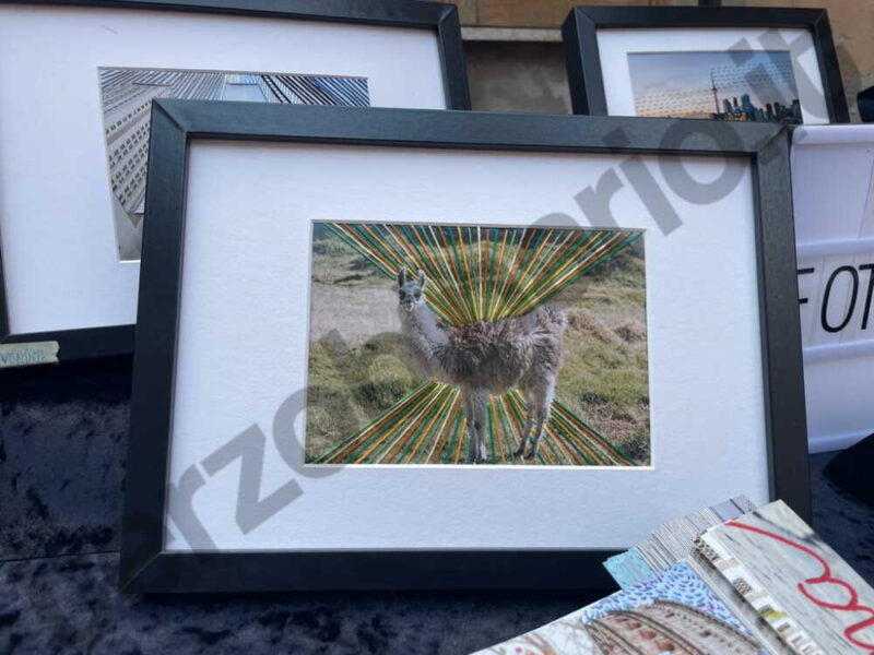 pangarana premio artgianato aritgiano tolfarte 2022 foto ricamate (4)