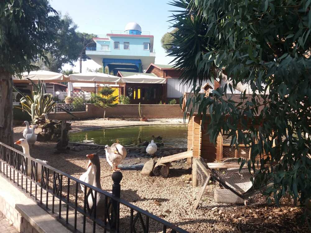 parco kennedy santa marinella