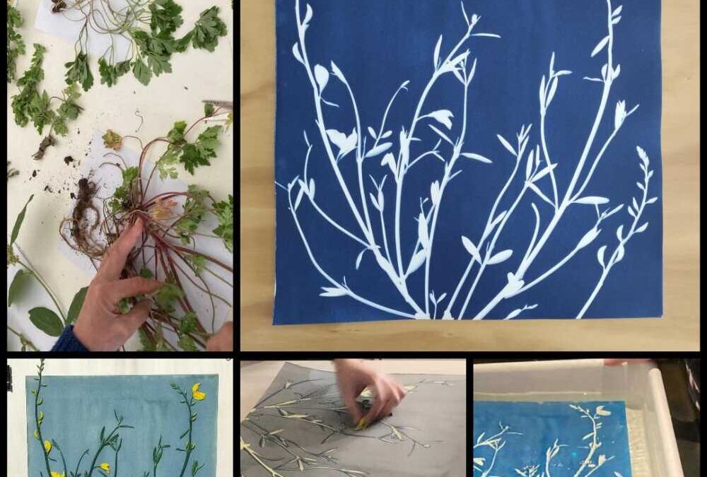 Dal 1 al 12 settembre a Bracciano si fa “Di tutta l’erba”