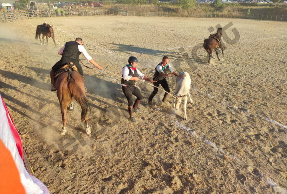 Al Claudio di Tolfa applausi per il documentario “Il Torneo dei Butteri”