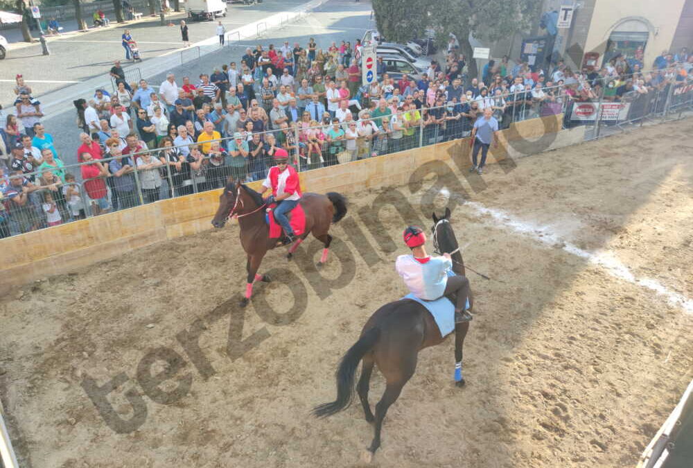 A Tolfa attesa per il XVI Drappo dei Comuni: domenica 12 cavalli si sfidano su viale d’Italia