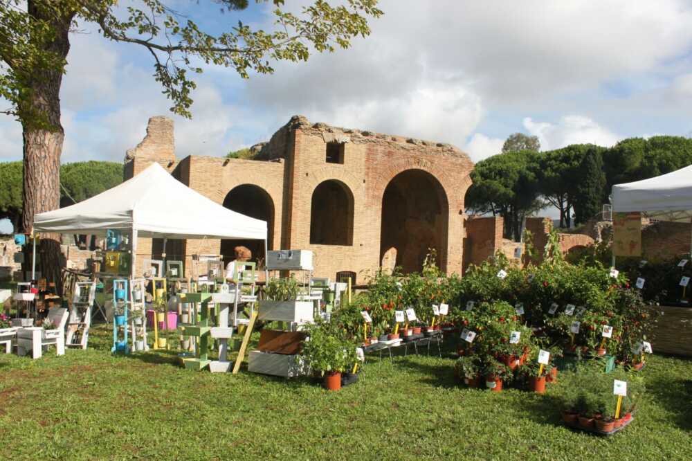 Piante, visite guidate, musica e cibo: questo e di più alle “Terme in fiore” a Civitavecchia