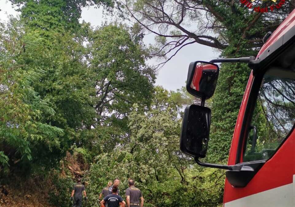 Maltempo, alberi caduti e allagamenti: pompieri impegnatissimi fra Bracciano e Manziana