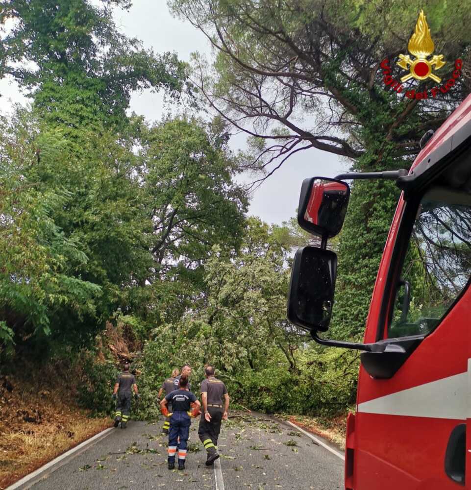 alberi strada bracciano vvf vigili fuoco pompieri