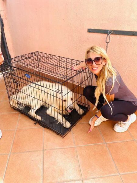 cagnolone arturo fareambiente ladispoli 2