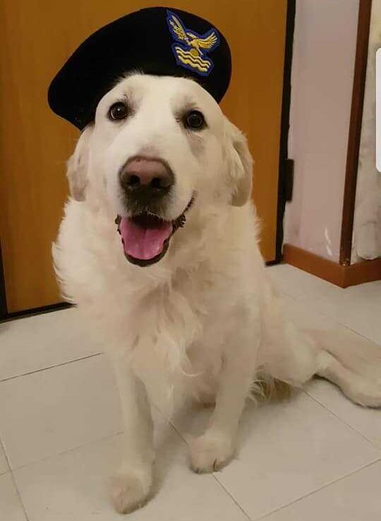 calendario gen ecozoofila nazionale civitavecchia peris calendario gen ecozoofila nazionale civitavecchia peris