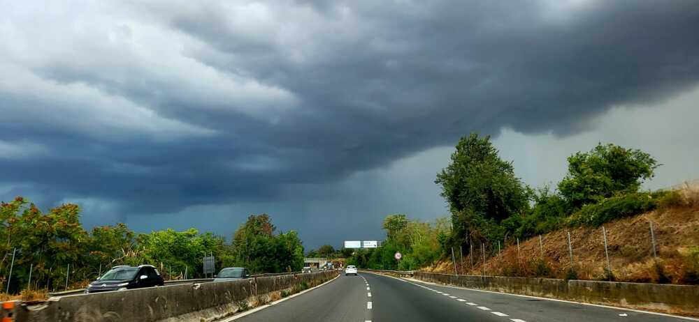 cassia bis veientana