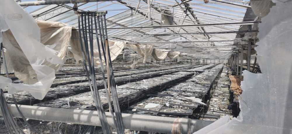 danni serre albani civiavecchia