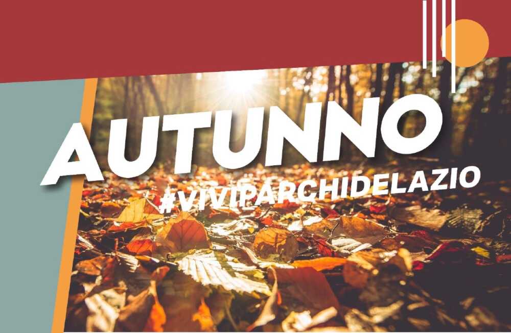 Raccolta funghi, come si fa: le buone pratiche indicate dal Parco Bracciano Martignano