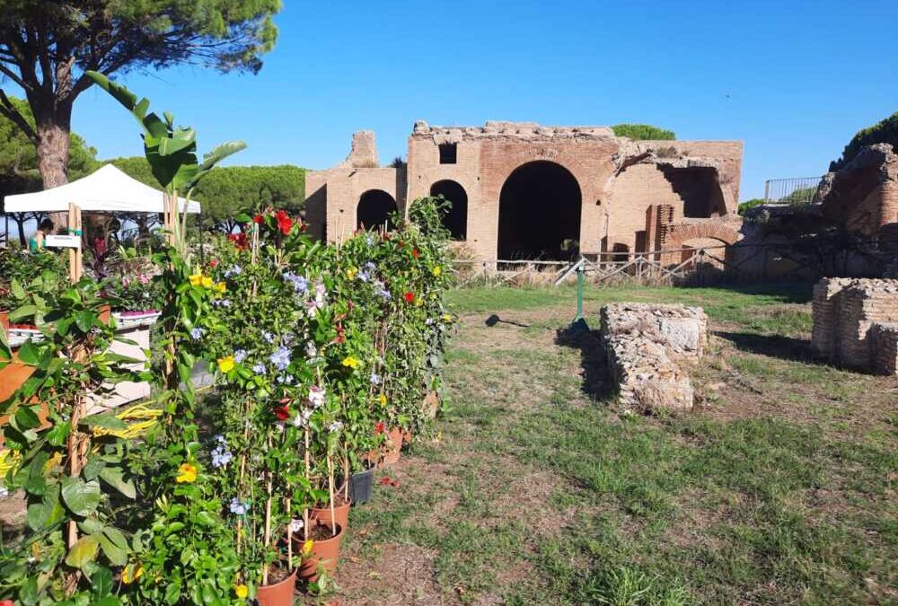 Nel weekend quasi 4mila visitano le “Terme in Fiore” a Civitavecchia
