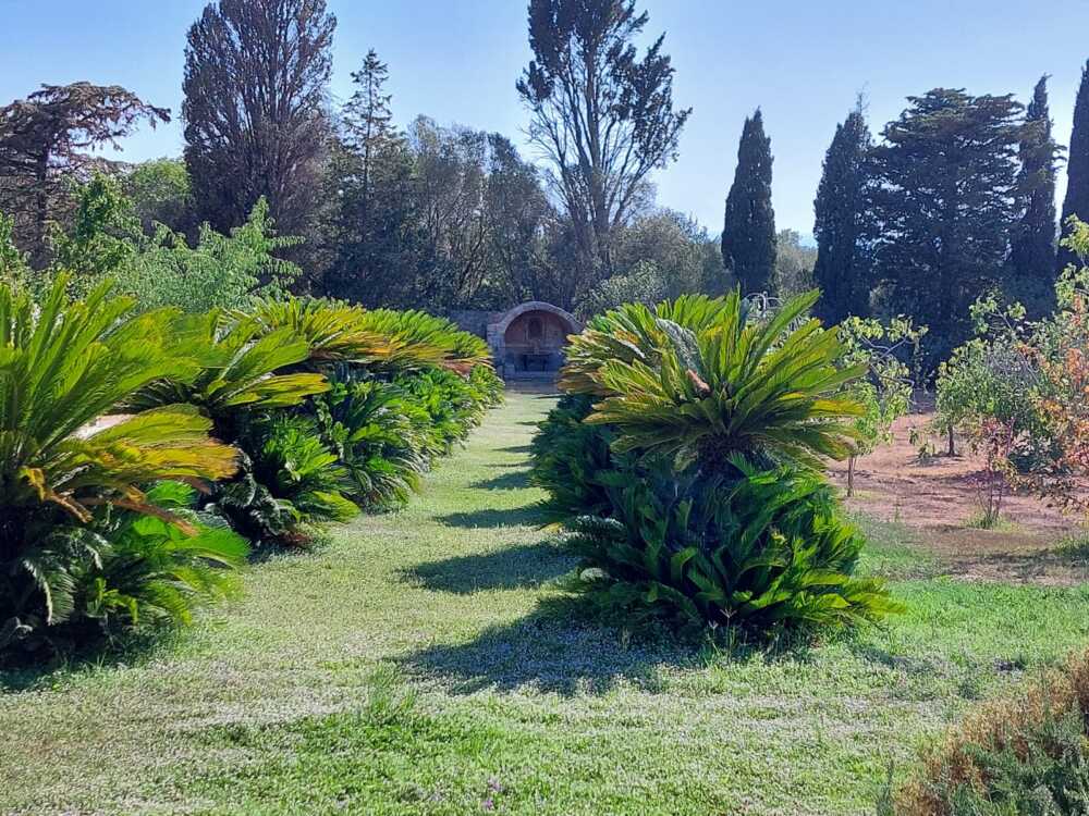 Il Ritito della Bandita di Matta (2)