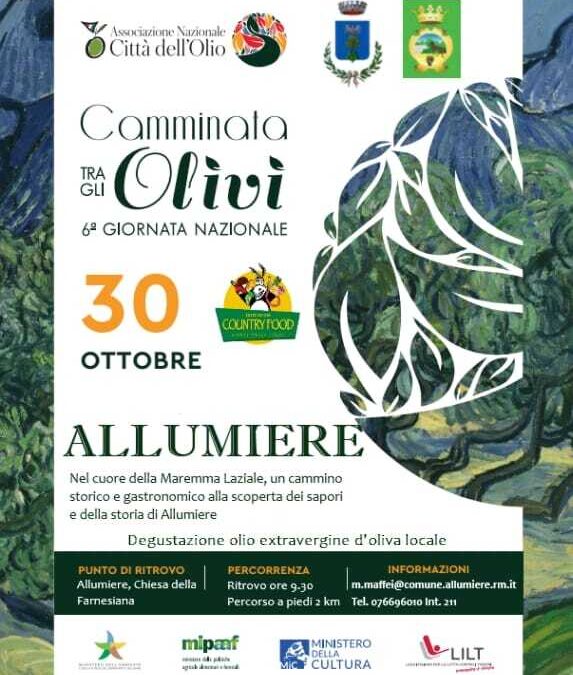Domenica sesta giornata nazionale della Camminata tra gli olivi ad Allumiere