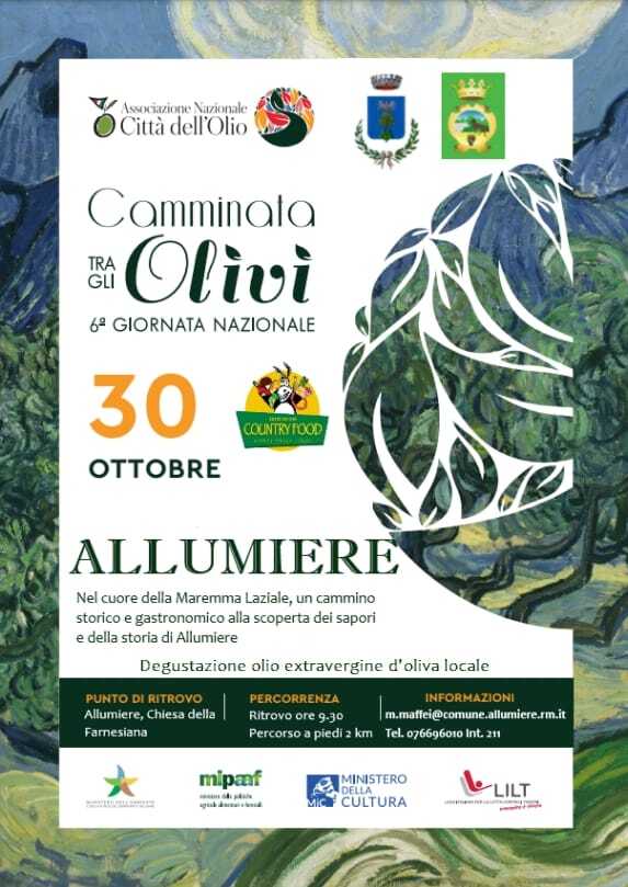camminata olivi allumiere camminata olivi allumiere