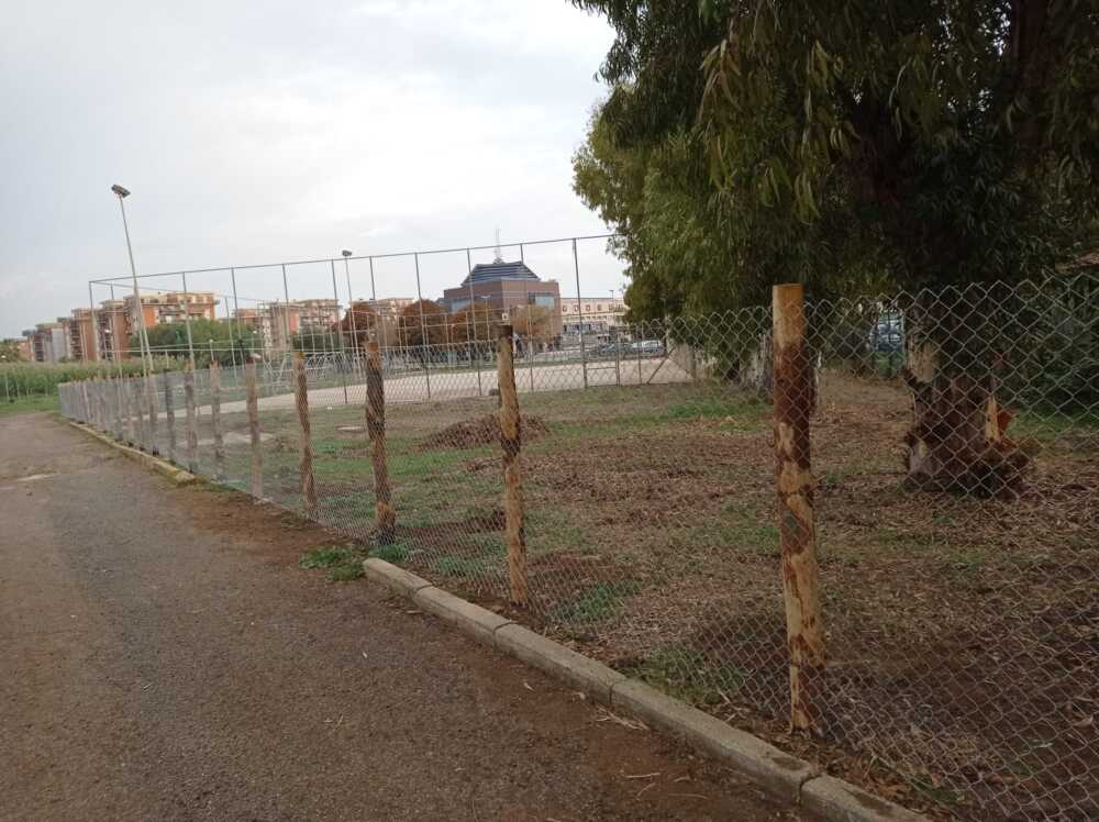 campetti via firenze