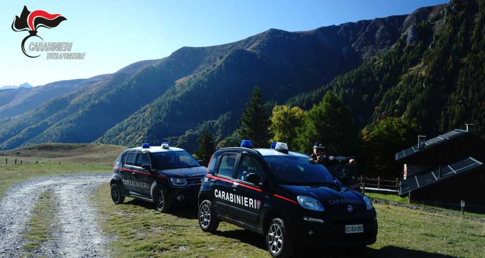carabinieri forestali campagna
