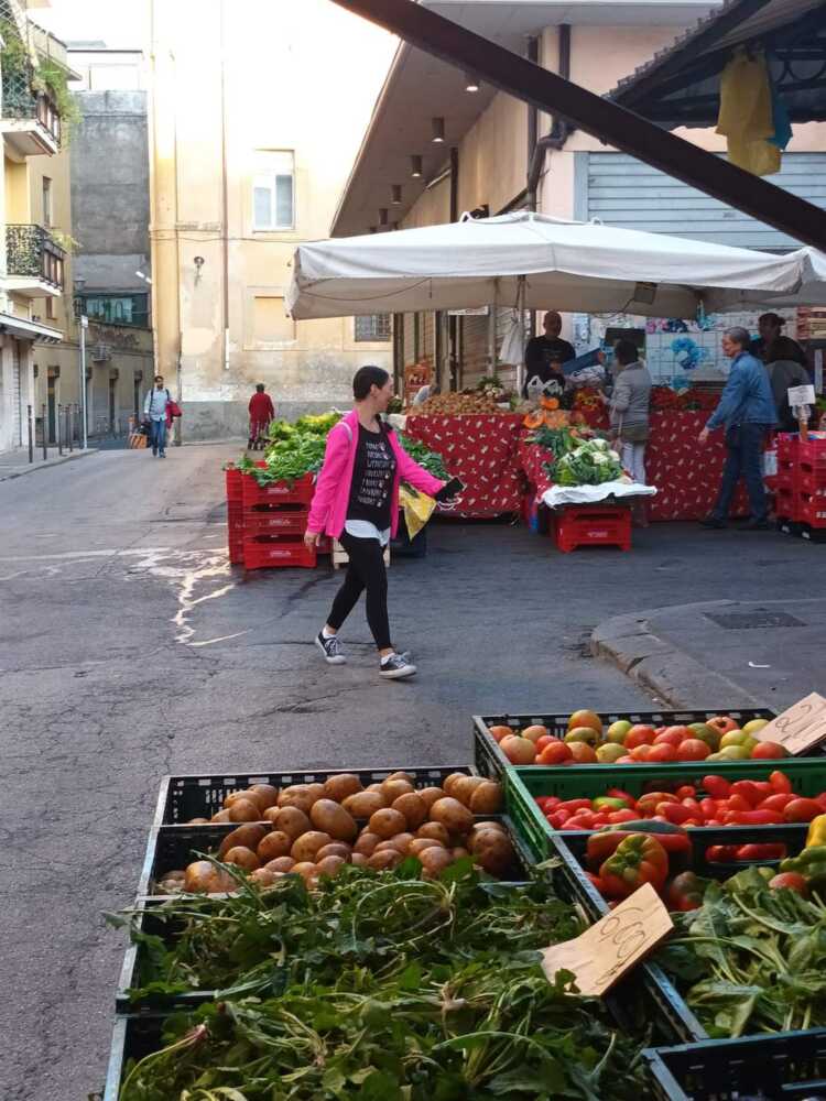 mercato civitavecchia