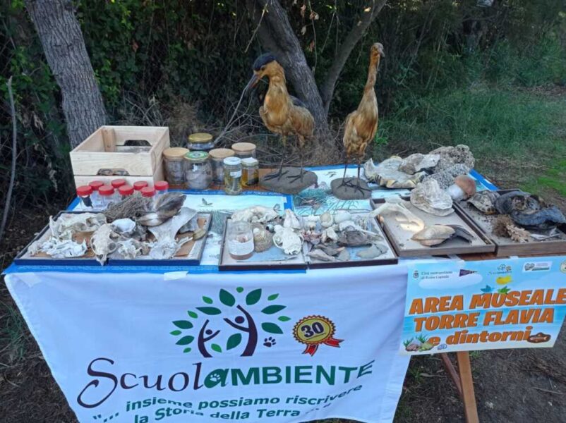 scuolambiente torre flavia caccia tesoro 1