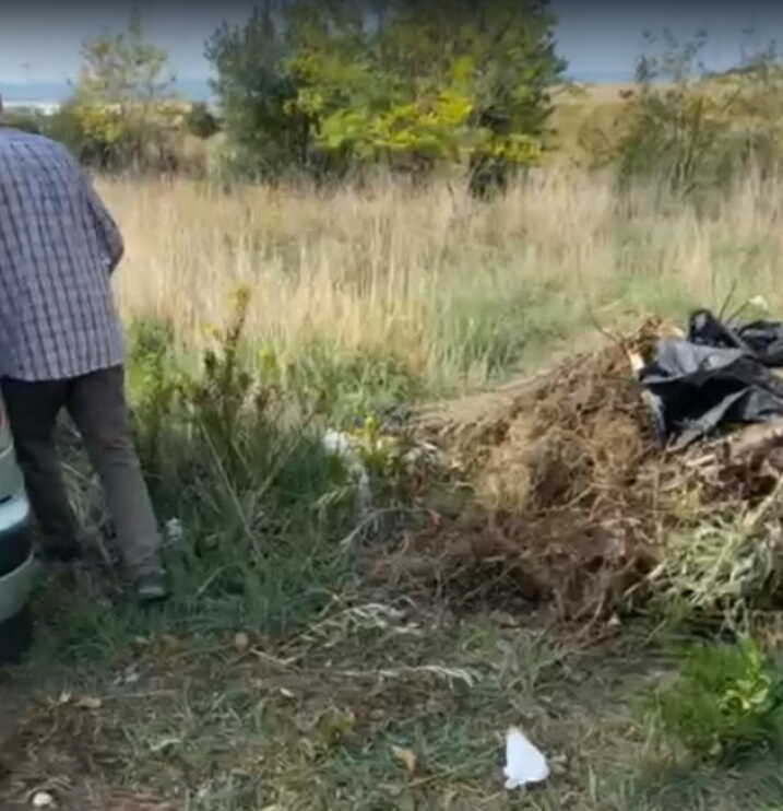 zozzoni civitavecchia