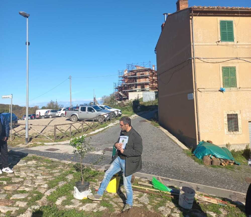 alberi a tolfa festa dell'albero a tolfa 2022