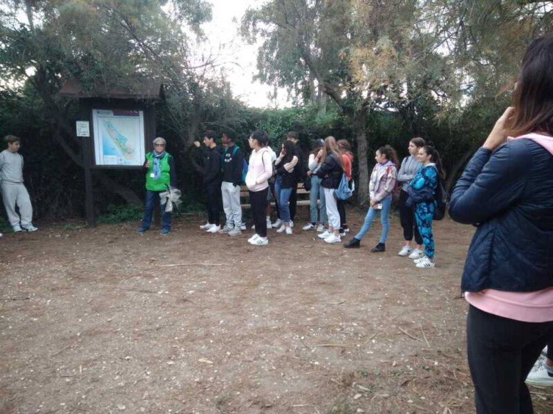 liceo pertini a torre flavia3
