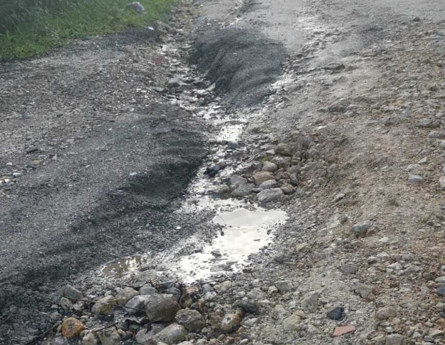 PalaMercuri, i genitori della Cv Skating scrivono al Pincio per la strada dissestata