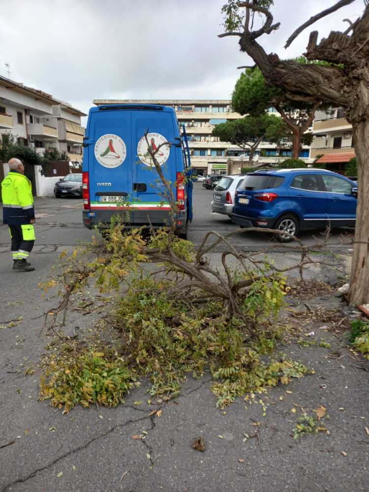 Ramo caduto in Via Cuma