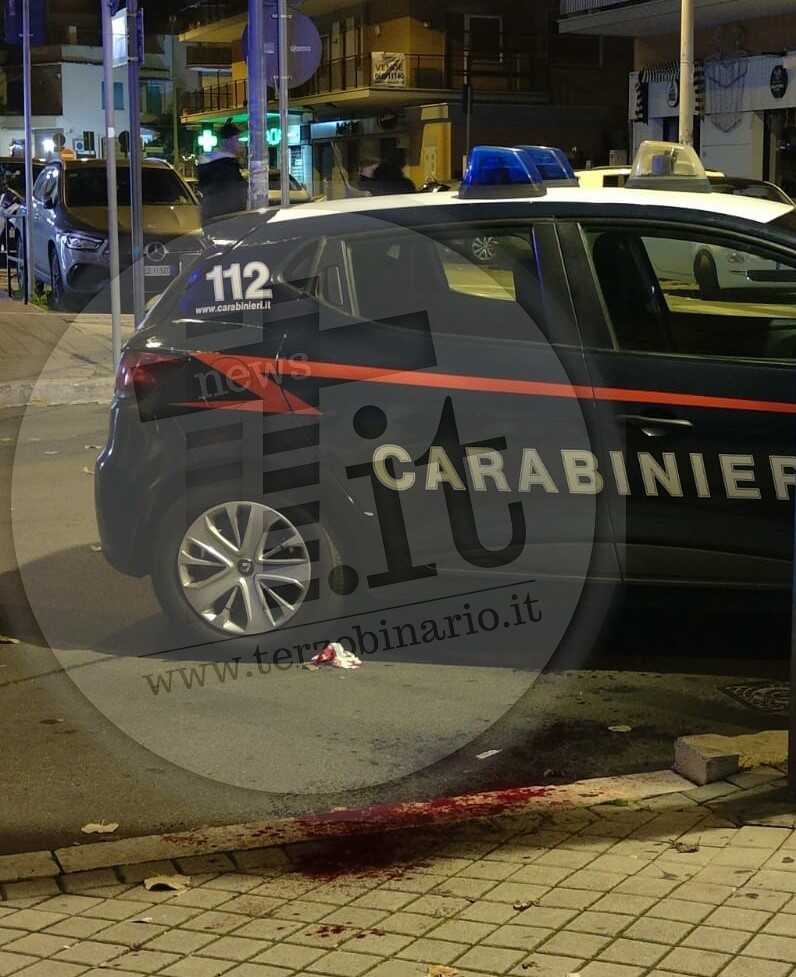 carabinieri ladispoli viale italia 1 carabinieri ladispoli viale italia