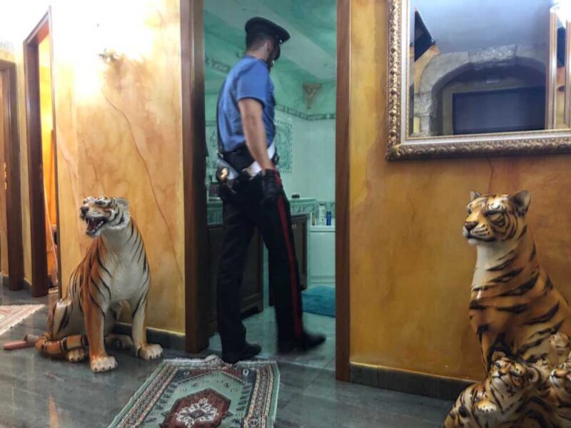 carabinieri porta furba casamonica (2)