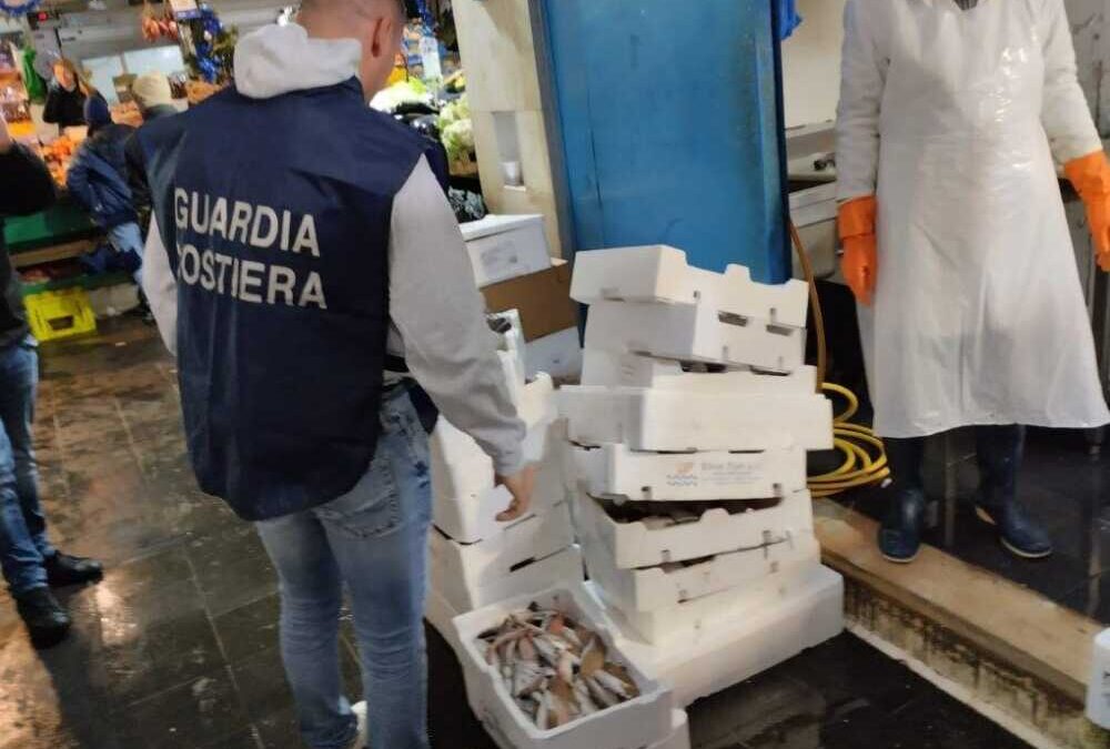 Operazione “Senza Traccia”: la Guardia Costiera Civitavecchia sequestra oltre 4 tonnellate di prodotti ittici, elevati 127mila euro di sanzioni