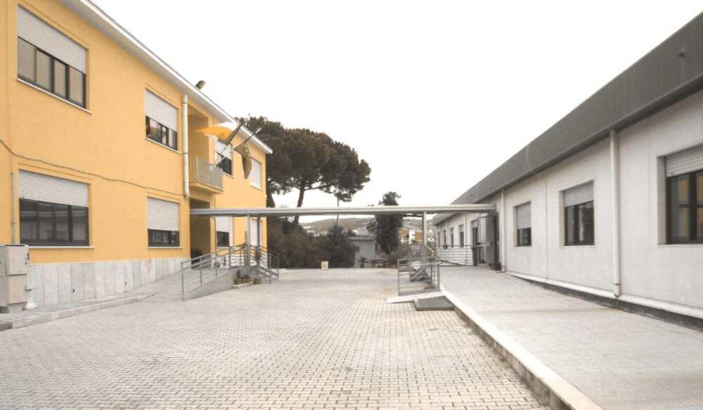 foto liceo galilei santa marinella