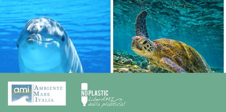 Ambiente Mare Italia presenta il Progetto RENOVATE agli studenti e ai cittadini di Civitavecchia