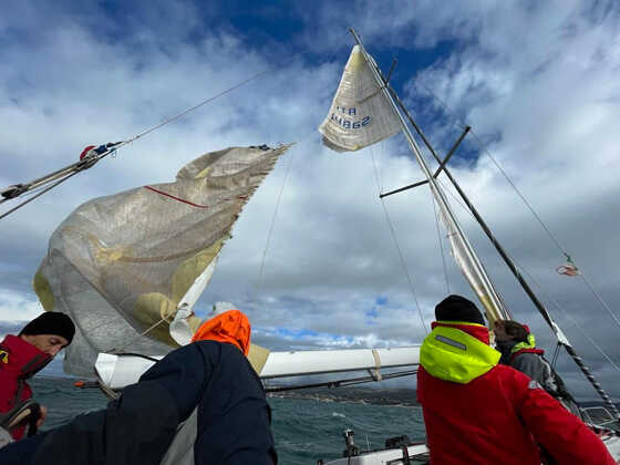 vela invernale