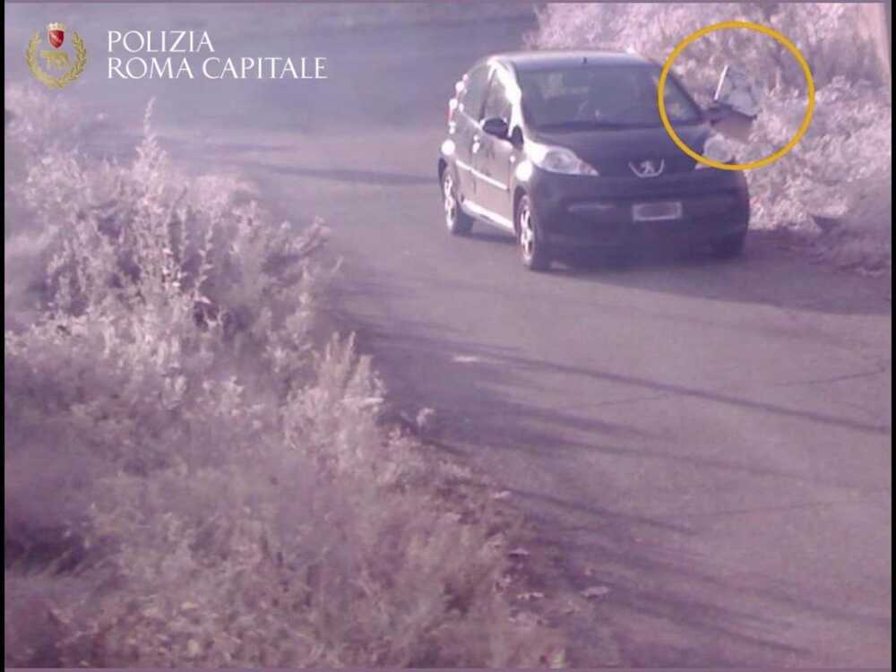 Fototrappola Ostia municiple roma capitale zozzone Fototrappola Ostia municiple roma capitale zozzone