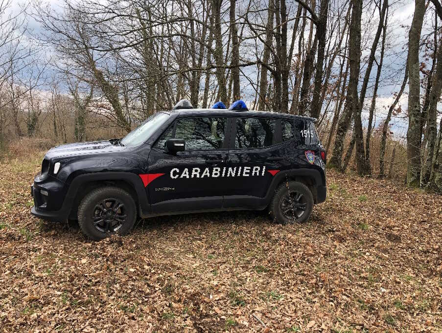 bosco carabinieri