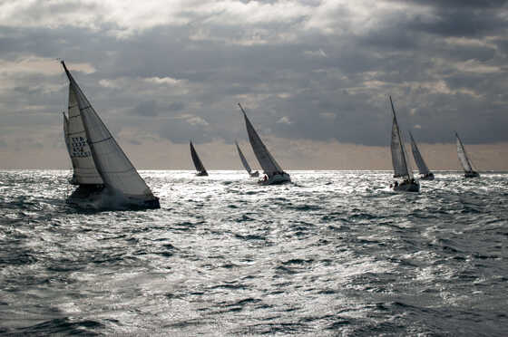 Vela, invernale al Riva di Traiano: Canopo mette in riga la flotta vincendo entrambe le prove