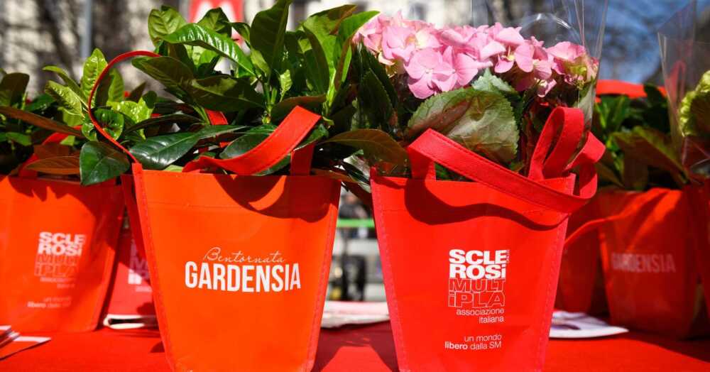 Gardensia 1