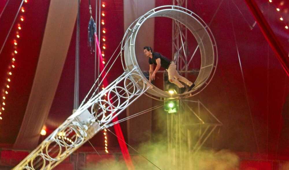 circo millenium circo millenium