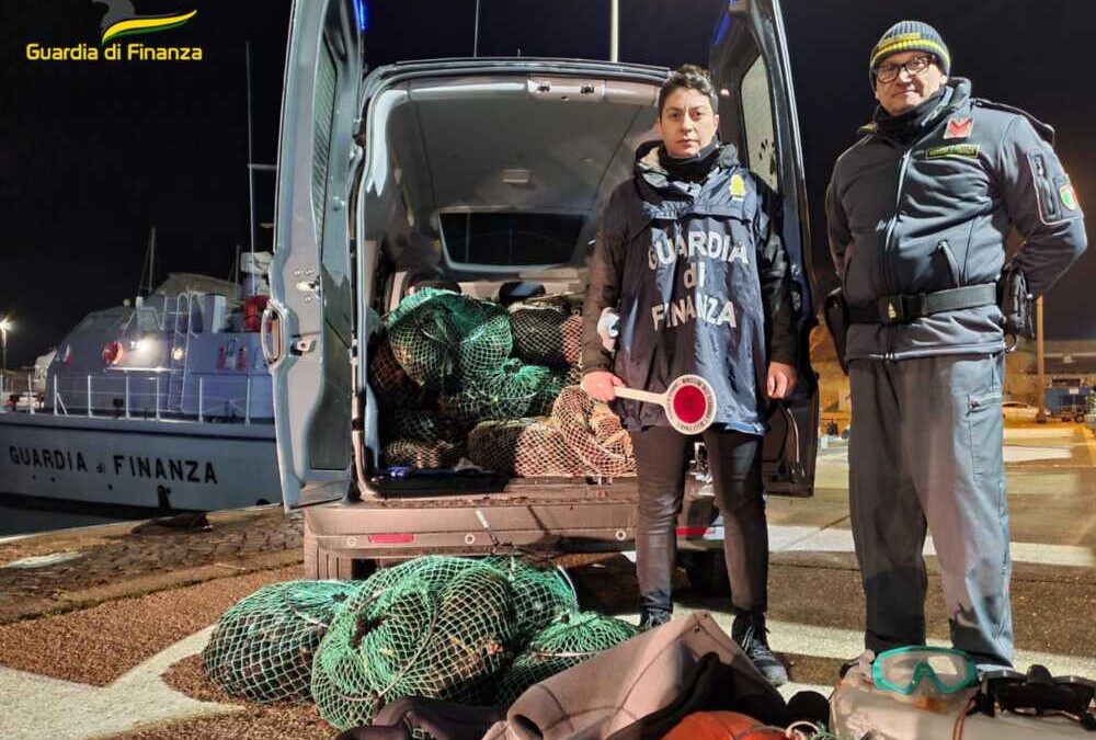 Gdf Roan Civitavecchia: 4 sub fermati con 8mila ricci di mare, multati per 24mila euro