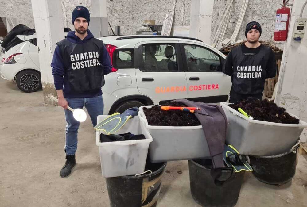Sequestrati oltre 10mila ricci a Santa Severa, la Guardia Costiera denuncia 4 pugliesi