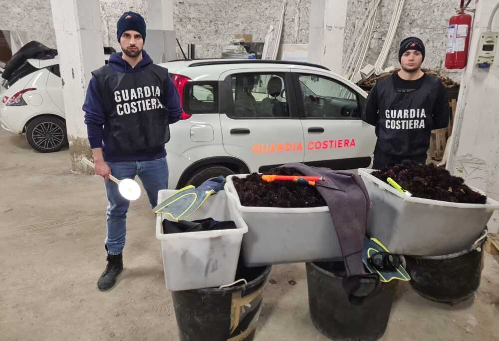 sequestro ricci guardia costiera santa marinella severa (2) sequestro ricci guardia costiera santa marinella severa (3)