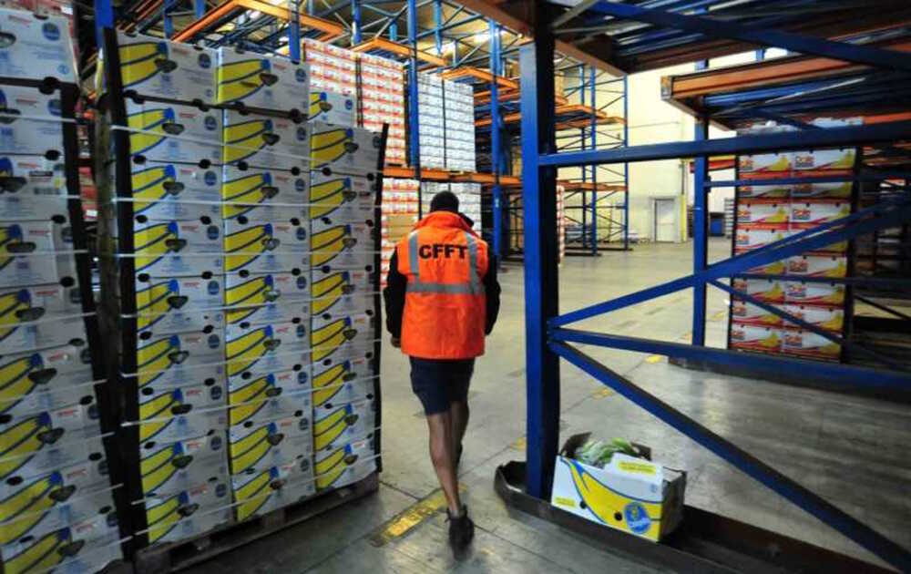 CFFT-Civitavecchia banane frutta CFFT-Civitavecchia banane frutta