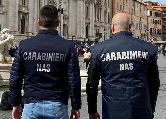 nas carabinieri roma nas carabinieri roma