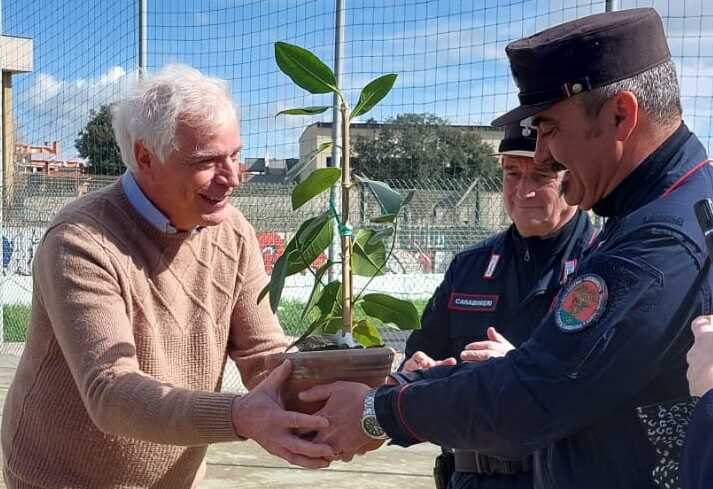 agresti carabinieri forestali albero ficus melone ladispoli agresti carabinieri forestali albero ficus melone ladispoli