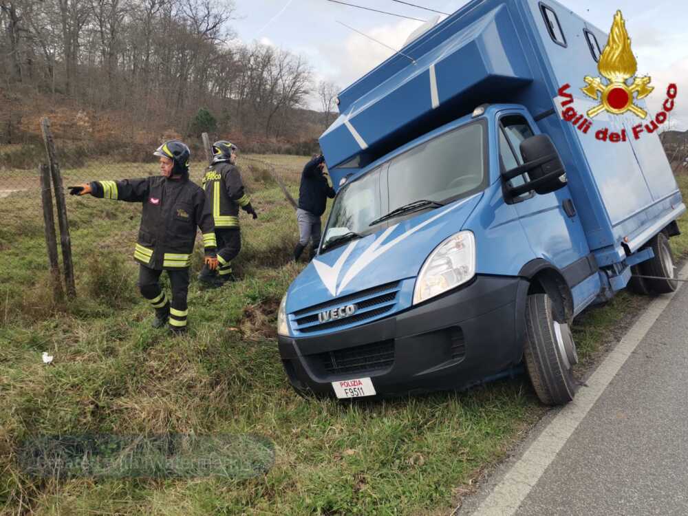 cavalli polizia manziana vvf vigili fuoco pompieri