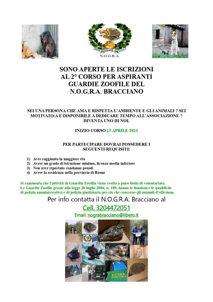 corso nogra bracciano