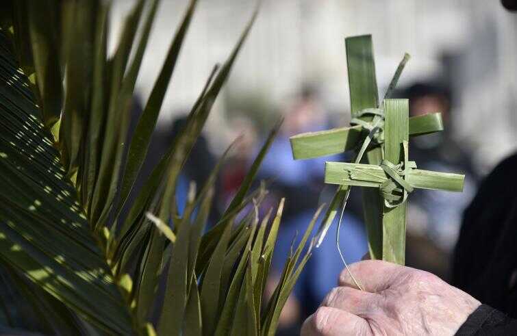 domenica palme pasqua domenica palme pasqua