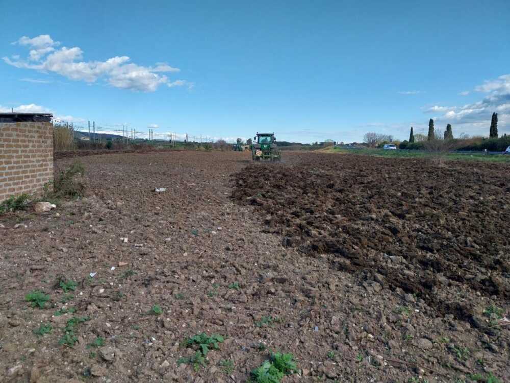 limonaia agrumeto santa marinella 1