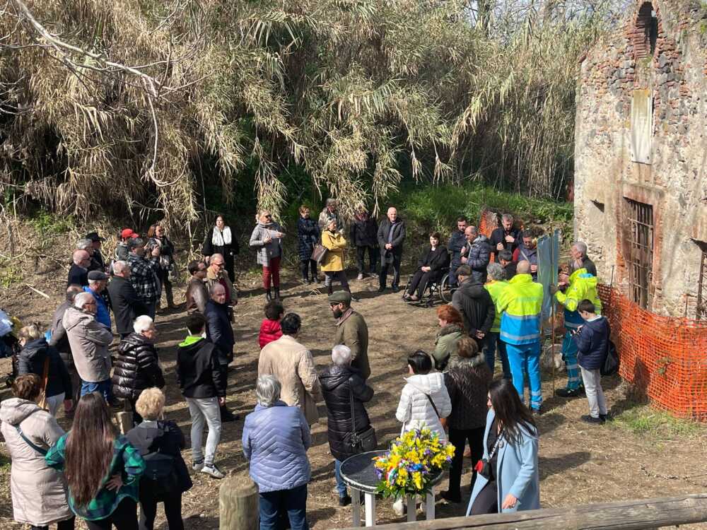 montalto san quirino candido montalto san quirino candido