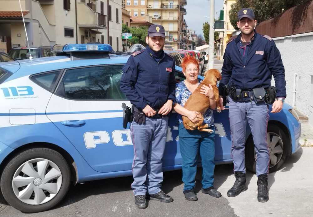 polizia Ladispoli Smarrimento Cane polizia Ladispoli Smarrimento Cane