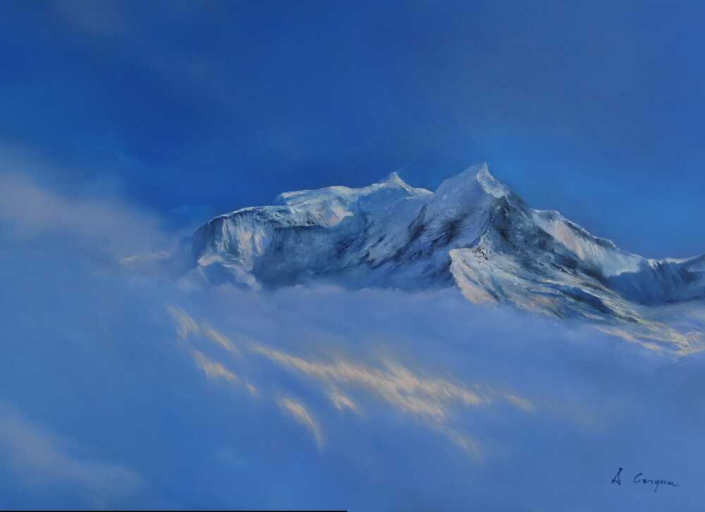 quadro andrea cerqua